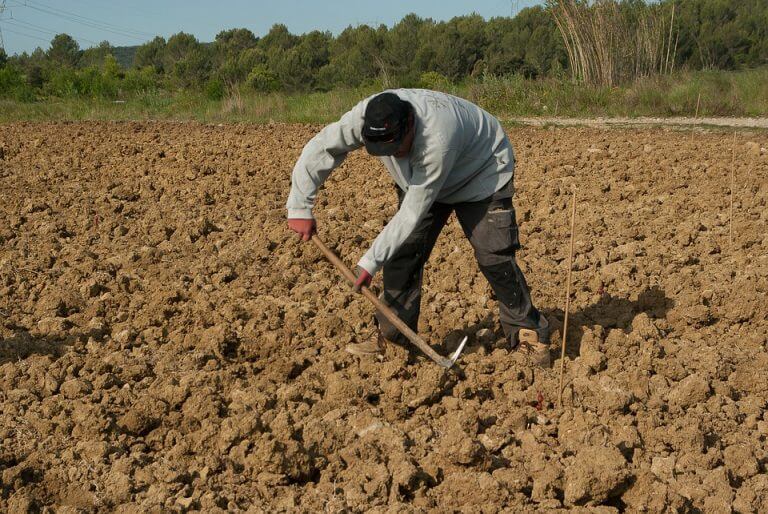farmer 1367104 960 720