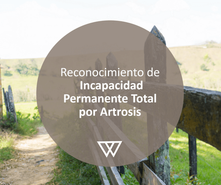 2020 03 ipt artrosis