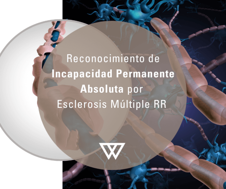 VyV Web Casos de exito 2