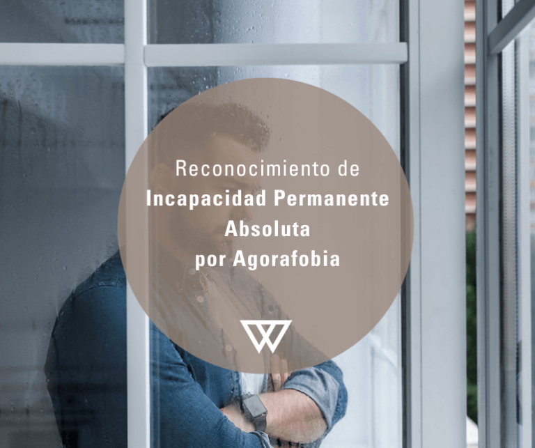 VyV Web Casos de exito 1 1