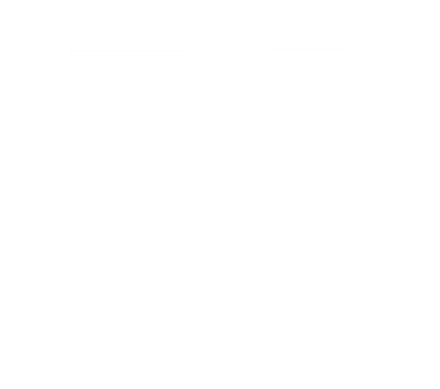 imagologo vyv